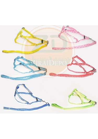 Köpek Kedi Göğüs Tasması Uzatma Kayışlı Gezdirme Tasma Hrb-013 Çok Renkli