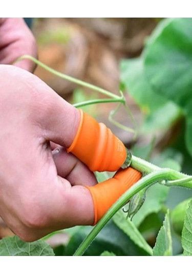 Pratik Baş Parmak Sebze Kesme Ayıklayıcı Royaleks-1277