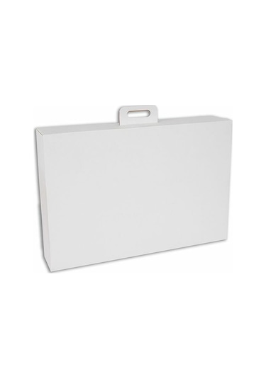 21x11x8,8 Cm Çanta Tipi İnternet Ve Kargo Kutusu 100 Adet