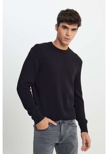 Regular Fit Normal Kesim Bisiklet Yaka Siyah Triko L242474001 Siyah