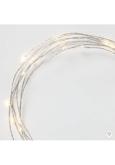 Petrix 50 Led Fairy String Light