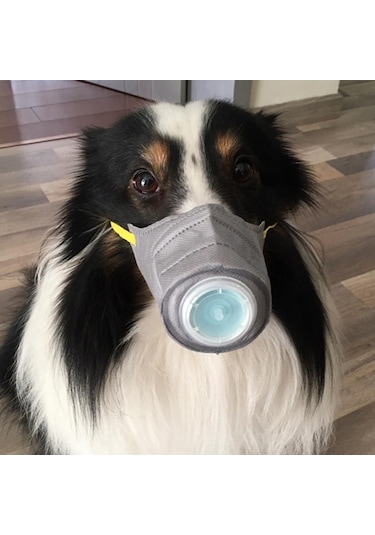 Homyl Ayarlanabilir Anti Sis Pet Köpek Ağız Maskesi Gri-l