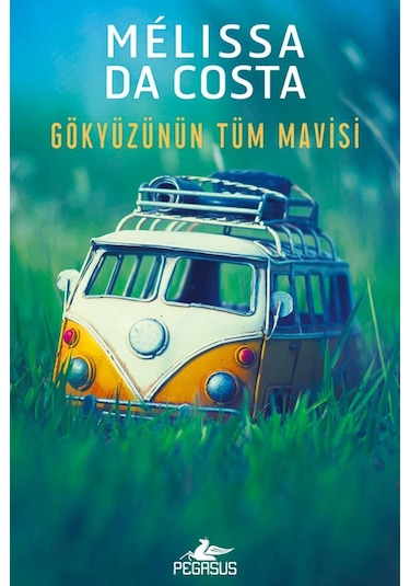 Gökyüzünün Tüm Mavisi