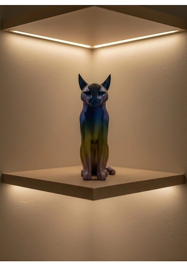 Koyu Rainbow Kedi