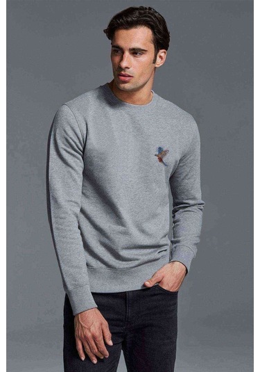 Papağan Sulu Boya Damlamalı Göğüs Baskılı Gri Erkek Örme Sweat