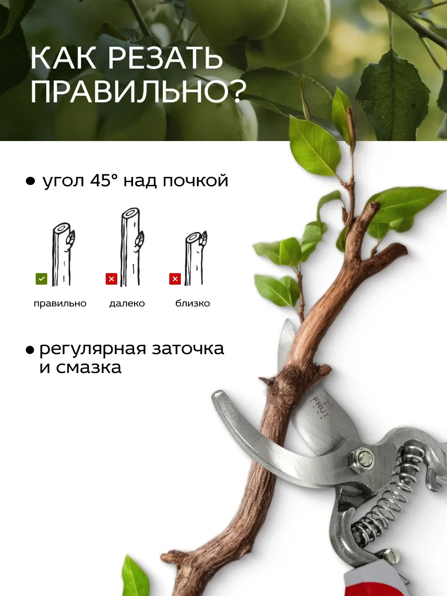 Frut Club Bahçe İçin Bütün Dövme Makas 18 Mm Kesim 11057577