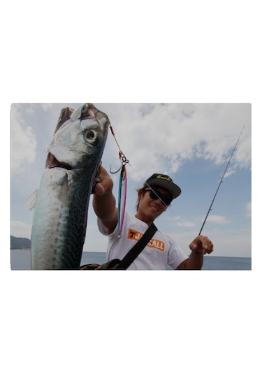 Jackall Big Backer Jig Slide Stick 10.7cm 60gr Jig Yemi