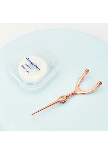 Willowhaven Paslanmaz Çelik Diş İpi Seti, Taşınabilir Yeniden Kullanılabilir Diş İpi Aparatı