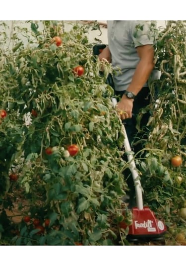 Pubert Fairtill 40 V Akülü Çapa Makinesi