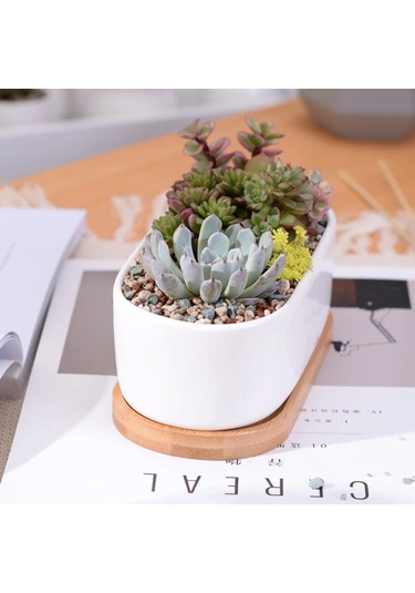 Jeehugo Beyaz Seramik Oval Sukulent Ve Kaktüs Saksısı, Bambü Tabaklı, Ev Ofis Masaüstü İçin, 2'li Set Saksı + Tabak , Bitki Yok