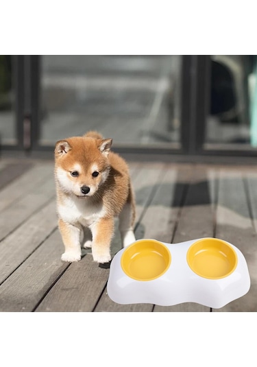 Homyl Köpek Kedi Besleyici Yumurta Sarısı Tasarım