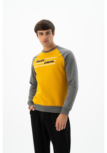 Arma Erkek Büyük Beden Bisiklet Yaka Sweatshirt K24124884401 Sarı