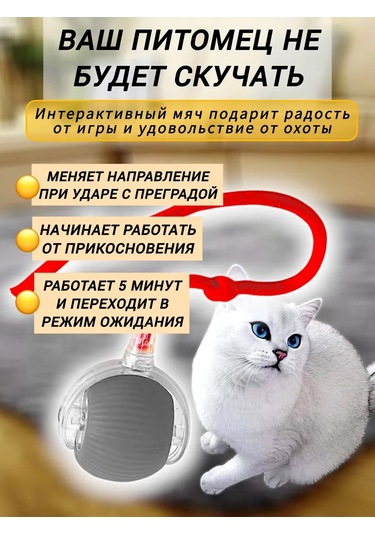 Etkileşimli Kedi Oyuncağı 319768571