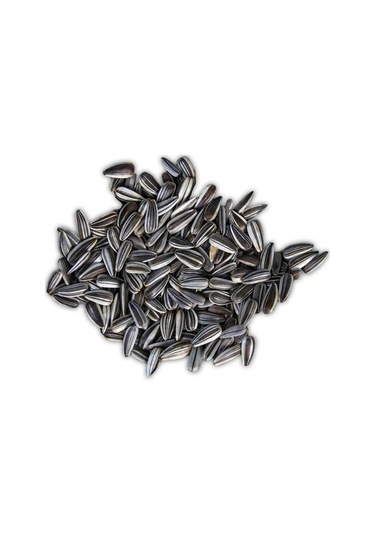 Siyah Çizgili Çekirdek 1 KG