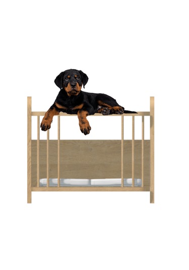 Ahşap Çerçeveli Evcil Hayvan Yatağı Kedi & Köpek İçin Yatak Yanı / Koltuk Yanı Pet Sofa