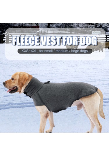 Vkemall Köpek Kışlık Sweatshirt: Yumuşak Yün İçi, Turtleneck, Isı Sağlar - Gri Xl Ya002m031