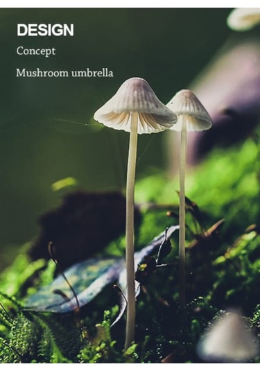 Simaavize Modern Black Led Aplik -gün Işığı Siyah