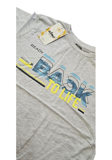 Almi Erkek Çocuk T-shirt Gri