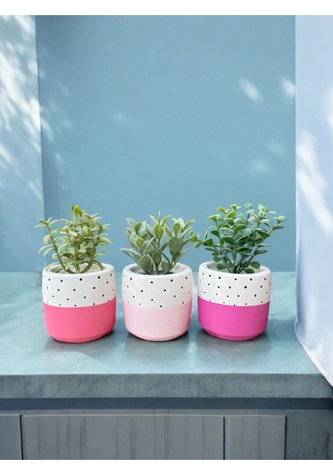 Renkli Saksı Seti Sukulent Kaktüs Dekoratif Eşya- Ev Dekorasyon - Saksı Seti 2