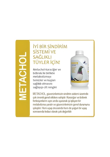 PIGEON Health Performance, METACHOL 1000 ml. (Güvercin Genel Bakı