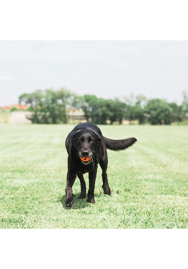 Chuckit Air Fetch Ball Orta Boy Köpek Oyun Topu 6.5 CM