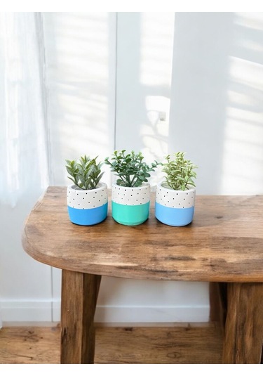 Renkli Saksı Seti Sukulent Kaktüs Dekoratif Eşya- Ev Dekorasyon - Saksı Seti 6