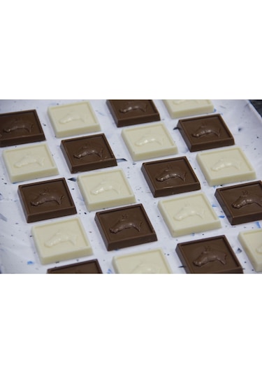 Atlı Madlen Spesiyal Karamel Çikolatalı Hediyelik Çikolata 500 Gr