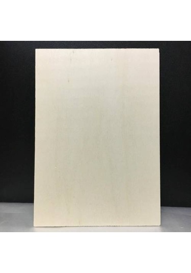 Gauss Ahşap Yakma Dağlama Makinesi 16 Adet Uç 5 Adet A4 Kavak Kontraplaklı Set