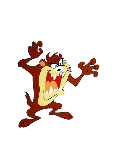 Necotoys Tazmanya Canavarı Eva Duvar Süsü