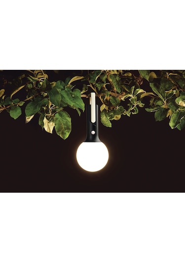 Lexon Bolla + Led Lamba(511002811) Çok Renkli