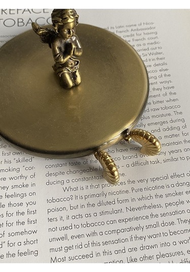 Deniz Kabuğu Halka Çelik Kararmaz Gold Kaplama Küpe Çifti Altın