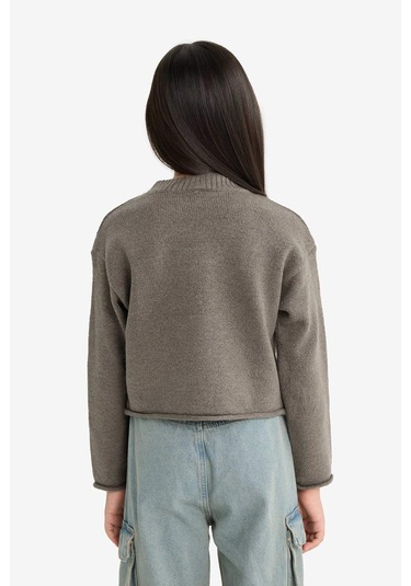 Defacto Kız Çocuk Standart Fit Bisiklet Yaka Triko Kazak F0108a825wngr83 Gri Defacto Kız Çocuk Standart Fit Bisiklet Yaka Triko Kazak F0108a825wngr83 Gri