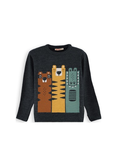 Denokids Hayvanlar Erkek Çocuk Triko Kazak Renkli