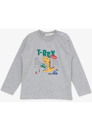 Erkek Bebek Dinazor Baskılı Eşofman Takım-13390-grı Gri