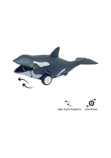 Sürtmeli Hayvanlar 2'li - Köpek Balığı Ve Orka Balina Hayvan