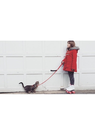 Petviya Ayarlanabilir Kedi Göğüs Bel Tasması Kırmızı