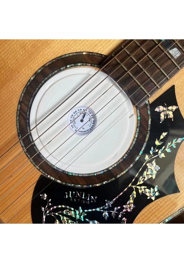 Ruicoo Akustik Gitar Nem Regülatörü - Nem Ölçerli Ses Delik Nemlendirici, Gitar Bakımı Ve Hasarı Önleme Aleti