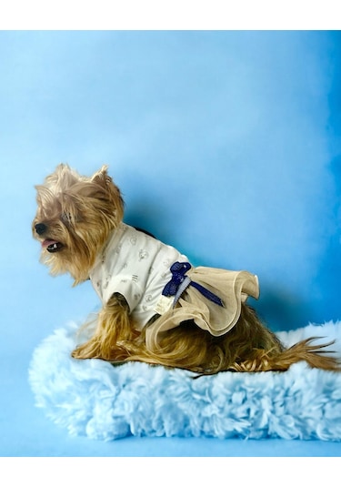 Kemique Navy Creamy Tütülü Köpek Elbisesi