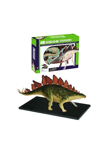 4d Dinozor Anatomi Modeli 39prç.stegosaurus