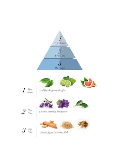 Prova 2 Men Erkek Parfüm EDP 120 ML