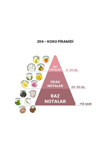 BEX 204 Cocom Kadın Parfüm EDP 50 ML