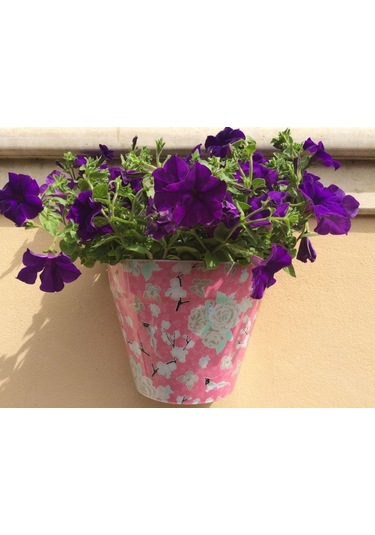 Güllü Duvar Saksısı - Pembe Plastik Saksı