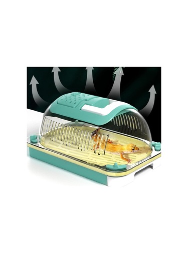 Homyl Terrapin Kaplumbağası Için Sürüngen Teraryumu