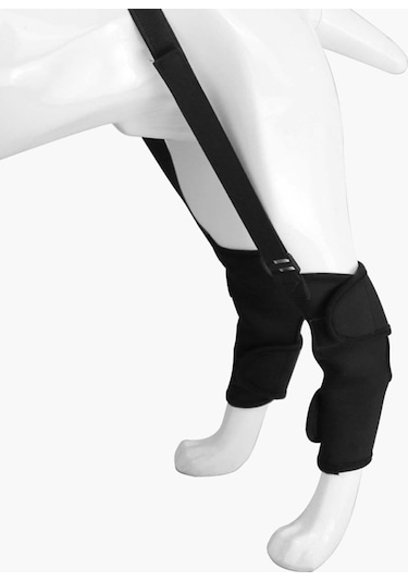 Homyl Artrit M'den Stabilite Kaybı Için Köpek Destek Brace M