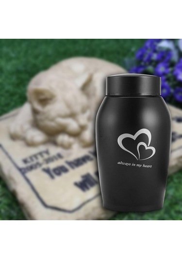 Homyl Köpekler Kediler Küller Gevşek Anıt Evcil Siyah Altın