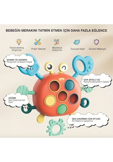 Yengeç Şekilli Montessori Duyusal Gözlem Beceri Geliştirme Eğitic