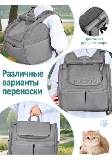 Pawdle Kedi Ve Köpekler İçin Taşıma Sırt Çantası 446738270