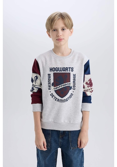 Defacto Erkek Çocuk Harry Potter Regular Fit Bisiklet Yaka Sweatshirt D4258a8nsgr400 Gri