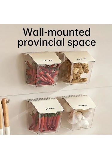 Ambition 4 Adet Zencefil Ve Sarımsak Taze Tutma Konteyner