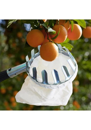 Homyl Sepet Emek Tasarrufu Mango Şeftali Bahçesi Meyve-seçici